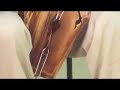 Horse Head Fiddle