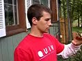 Pet Hummingbird
