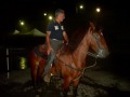 PROTEZIONE CIVILE CROCE D'ORO A CAVALLO