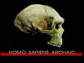 Human evolution made easy debunked