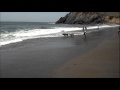 Rodeo Beach