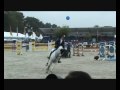Casco & Gerald Geessink Competing in The Sires of The World, Zangersheide, Lanaken, Belgium
