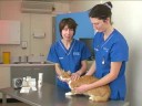 Watch the Cat Weight Loss Video