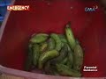 Gutom - GMA\