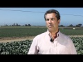 What Was It Like Growing Up On The Family Farm?
