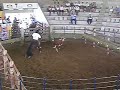 Cred. Arroio Grande RS Prova de Mangueira / Aparta��o gado