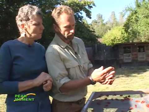 how to be self sustained living