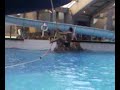 aquaboulvar , jahed vava joO  cece (L\