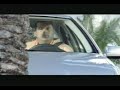 Jak mu?i parkuj�