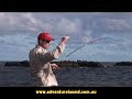 Adventure Bound - Yellowfin Tuna off the rocks Adventure Bound - Yellowfin Tuna off the rocks