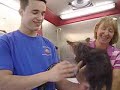 Grooming Claire
