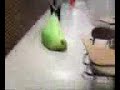 BLOB WARS PART 2 BLOB WARS PART 2