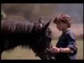 The Adventures Of The Black Stallion - Ending Theme