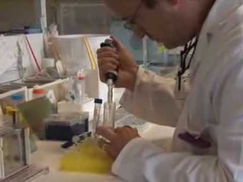 how to discover prostate cancer