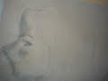 caricature