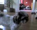 Lucy Lucy