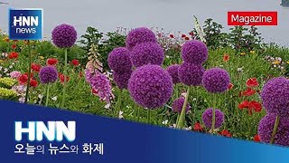 세상 사는 이야기 / 고흥에 가면