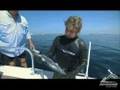 Freediver Mike Hickey spears cero mackeral