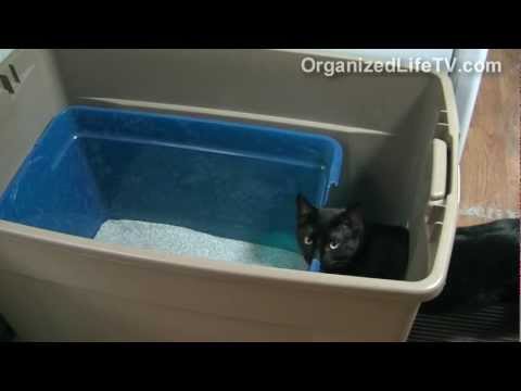 Large Cat Litter Box