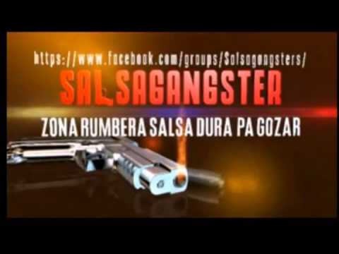 Chihuahua Descarga Cubana El Ritmo De Chihuahua Chihuahua Descarga Cubana El Ritmo De Chihuahua