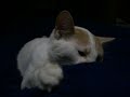 Thumbnail #3