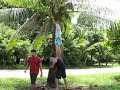 uVolunteer - Matapalo - The Climbing