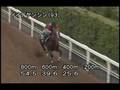 videos de [調教] 080723 イイデケンシン 「関越ステークス」前追い切り