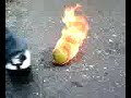 Fire Ball of Death 2