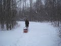 Taking Tristan for a sleigh ride Taking Tristan for a sleigh ride
