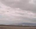 Fly Belt Cp on the Wind  part1