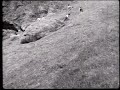 Bergbauern beim Einbringen des Heus, 1930. Bergbauern beim Einbringen des Heus, 1930.