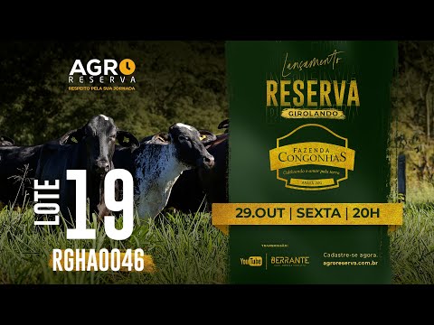 LOTE 19 - FERNANDA FIV RG RGHA0046