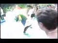 panda - hola