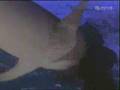 videos de James Bond & Kotipizza