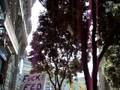 End-the-Fed Rally, Market Street, San Francisco