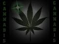 gondwana – Fuego