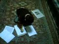 dev-yapan-ocuk.html