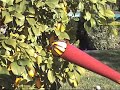 The Ultimate Garden Tool The Ultimate Garden Tool