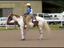 2008 R Bandits May Bar (Skeeter) APHA mare video. 2008 R Bandits May Bar (Skeeter) APHA mare video.