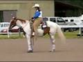 2008 R Bandits May Bar (Skeeter) APHA mare video.