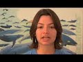 Greenpeace Brasil -Apresentando A Trilha das Grandes Baleias