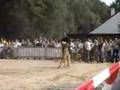 Belgian Ringsport Demonstration