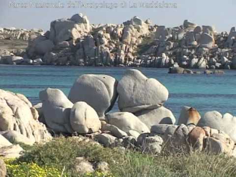 Vedi il video