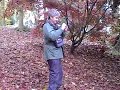 allan taking photos of acers at batsford arborutum