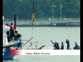 Izvučeno sedam tijela iz rijeke Hudson