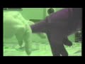 manos (la obra que inspir� MATRIX a los hermanos wachowski)