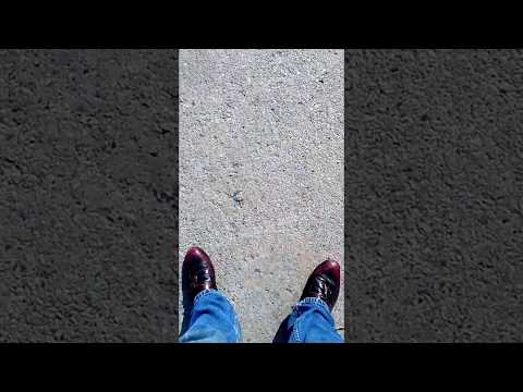 Uhaul - Uhau Mississauga completely incompetent