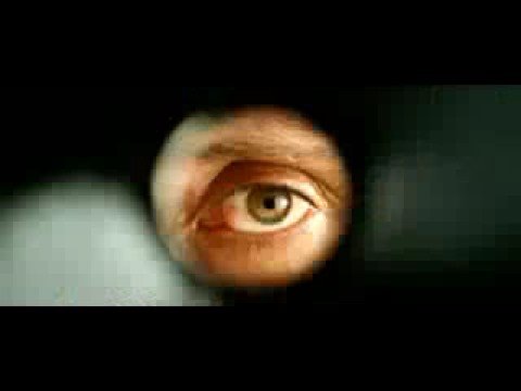 Новая любовница Кости Хабенского