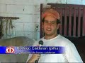 Suplemento mineral para Equinos