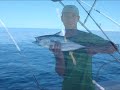 Cycling and fishing across central america. Mejico, Belice, Guatemala, Nicaragua, Costa rica. summer 2008 45 days and 3000km. cyclotourism. bike